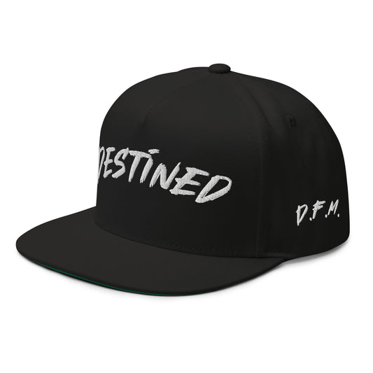 D.F.M. Flat Bill Cap W/ Flag